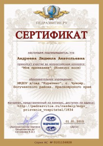 сертификат конкурс эссе